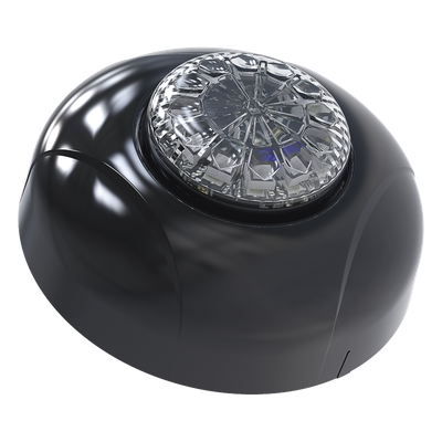 Estrobo Oculto de 12 LED, Brida negra, 12 Vcd, Clara, Lente transparente