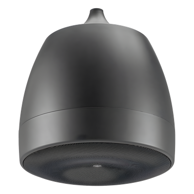 Altavoz Colgante Comercial | 6.5 in | 2 Vias, 300w | 8 Ohms | 70v/100v | Negro