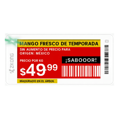 Etiqueta de Estantería Electrónica ESL ZKE21B / Pantalla EPD 2.13 Pulgadas / Resolución 122×250 Píxeles / 4 Colores (Negro Blanco Rojo Amarillo) / BLE 5.0 con Encriptación AES-128 / Batería 5 Años / NFC / C