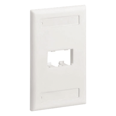 Placa de Pared Vertical Clásica, Salida Para 2 Puertos Mini-Com, Con Espacios Para Etiquetas, Color Blanco Mate