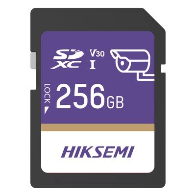 Tarjeta SD GuardPro P10 / 256 GB / 100 MB/s Lectura / 90 MB/s Escritura / Clase 10 U3 V30 / 3D TLC NAND / Especializada Para Videovigilancia 24/7